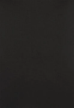 Anna Field 2 PACK - Langarmshirt - Black/mottled Grey -Bekleidungsgeschäft 0dc508e6fbe54431b34a612a85aedc7a