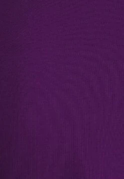 Anna Field Langarmshirt - Purple -Bekleidungsgeschäft 63753b54640342ae9ae877b37d0c3f1e